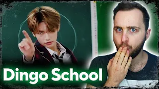 Stray Kids : Dingo School // реакция