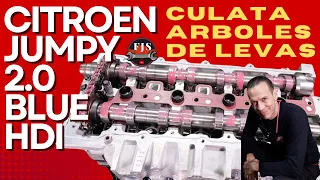 Modern CITROEN JUMPY engine, How to assemble 2.0 Hdi. Installation Camshafts, timing.