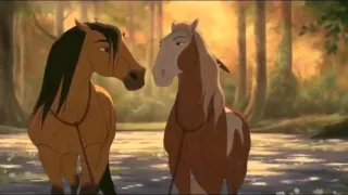 Counting Stars AMV Spirit Stallion of the Cimarron