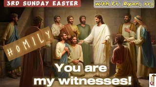Homily 3rd Sunday of Easter 2024/Third Sunday of Easter Homily/ April 14,2024/ You are my Witnesses