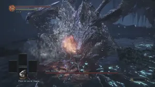 SL1 Dragon Fire Only no rolling/blocking Darkeater Midir [no riposte, no fire clutch ring]