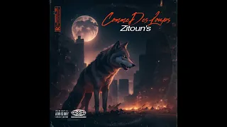 Freestyle Le Z Comme des Loups (C.D.L)