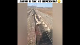 ДАВНО Я ТАК НЕ ПЕРЕЖИВАЛ😬