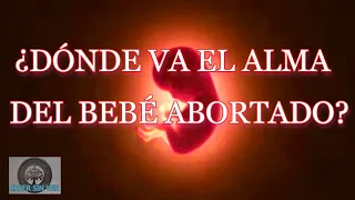 ¿DÓNDE VA EL ALMA DEL BEBÉ AL ABORTAR? ¿Y DÓNDE VA POR ABORTO ESPONTÁNEO ¿QUÉ LE OCURRE A SU ALMA?