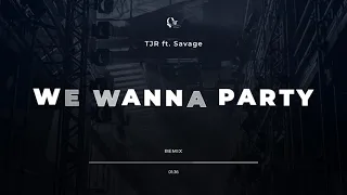 We Wanna Party - TJR ft. Savage ( Edit & Mashup )