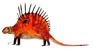 Paleo Profile - Dimetrodon