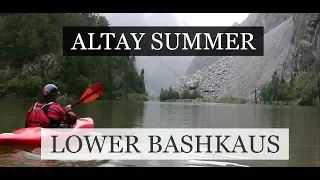 Altay summer vol.5, Bashkaus lower gorge | Алтайское лето. Выпуск №5, Нижний Башкаус, июль 2019