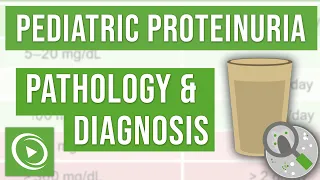 What is Proteinuria and how to diagnose it? | Lecturio Pediatrics