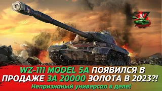 WZ-111 MODEL 5A - НЕПРИЗНАНЫЙ УНИВЕРСАЛ ЗА 20000 ЗОЛОТА! Tanks Blitz | ZAF