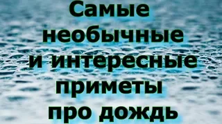 Самые необычные и интересные приметы про дождь