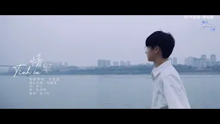 【VIETSUB】 Tình ca (Cover) | TF Gia Tộc Chu Chí Hâm
