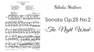 Nikolai Medtner - Piano Sonata Op.25 No.2 "Night Wind" (Milne, Kholodenko, Vos, Hamelin)