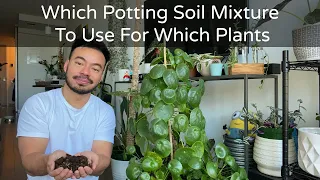Potting Soil Mixture For Your Indoor Plants + Repotting Houseplants