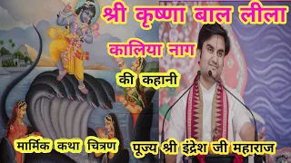 KRISHNA BAL LEELA|| KALIYA NAG KI KAHANI|| Thakur Ji Leela||