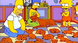 The Simpsons Happy Simpsons and 25 Puppies.