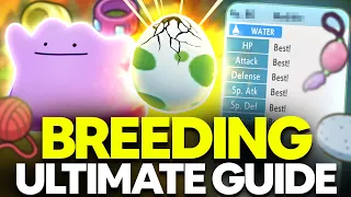ULTIMATE Breeding Guide: Perfect IVs, Natures, Egg Moves | Pokemon Brilliant Diamond & Shining Pearl