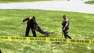 Cecil County Sheriff’s Office 350 Anniversary Saturday May 11th,2024. Part 3. K-9 Unit