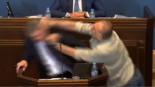 WATCH: Wild brawl breaks out in Georgia’s Parliament House