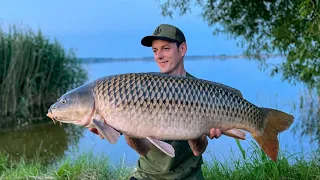 Рибалка на Львівському морі - Ловля сазана на водосховищі