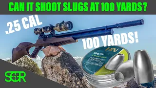 Can the JTS Airacuda Shoot Slugs? at 100 YARDS?!? - H&N .25 CAL SLUGS