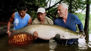 One Of The Biggest Catches Of Jeremy Wade's Career | SPECIAL EFFECTS | River Monsters