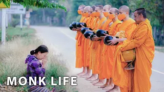 Buddhist Monks Goes on Daily Alms Offering | The Monk Life