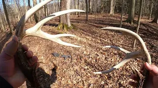 We found our target buck sheds.