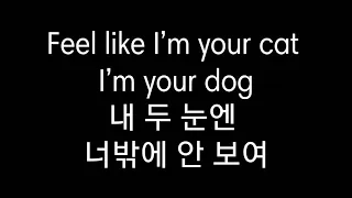 TXT (투모로우바이투게더) - CAT & DOG |Lyrics [Hangul]