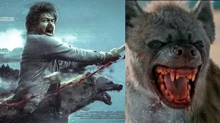 Leo | Thalapathy Vijay vs Hyena - WHO WILL WIN | HINDI #leo