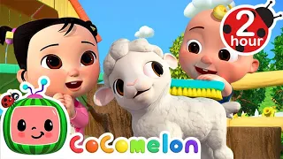 Baby Animal Petting Zoo! | CoComelon Animal Time | Animal Nursery Rhymes