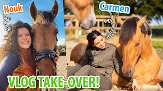 Stalgenoot & verzorgster nemen de vlog over met de paarden! | felinehoi VLOG #487
