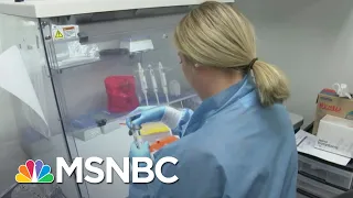 Top Health Official Admits Coronavirus Testing System Is ‘Failing’ | The Last Word | MSNBC