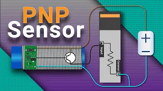 What is PNP Sensor? Working, Wiring and Testing