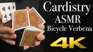 Cardistry ASMR Bicycle Verbena 4k