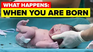 What Happens When You Are Born?