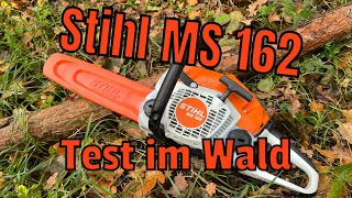 Stihl MS 162 erster Test im Wald 🪵 Was taugt der Nachfolger der 170 ?