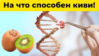 🔥Полезные свойства киви, о которых вы не знали!  🥝