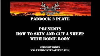 How To Skin and Gut a Sheep - Paddock2PlateP2P - Episode 3