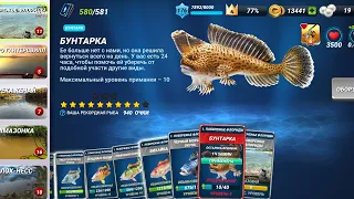 Fishing Clash. До какого уровня нужно улучшать приманки!? Важная информация для новичков.