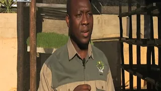 NNFU urges farmers to adopt hydroponic crop production -NBC