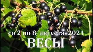 ВЕСЫ Со 2 ПО 8 АВГУСТА 2021. ТАРО ПРОГНОЗ. РАБОТА ДЕНЬГИ ЛЮБОВЬ ЗДОРОВЬЕ. РАСКЛАД НА НЕДЕЛЮ.