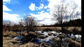 А  Ахматова  И как всегда бывает в дни разрыва #стихиолюбви #поэтысеребряноговека