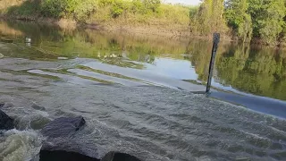 Car nearly in trouble at cahills crossing NT - 7/12/2017