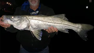 Tampa Bay fishing report: April 9, 2021