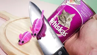 Stop Motion Cooking - How To Make Taco From Cat Supplies ASMR 4K