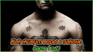 Как живут воры в законе (Часть 1 из 2) (480p)