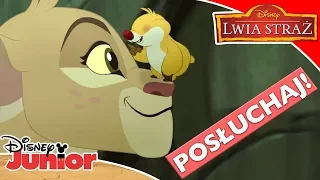 🦁 Odkryj Lwią Ziemię! | Lwia Straż | Disney Junior Polska