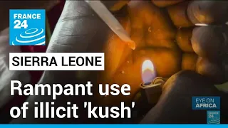 Sierra Leone drug abuse: Rampant use of illicit 'kush' destroying young lives • FRANCE 24 English