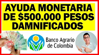 🟢Ayuda Monetaria de $500.000 pesos para Damnificados por las Lluvias por medio del Banco Agrario
