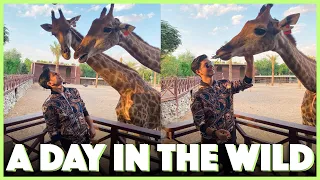 Visit to Fame Park 🦒 | Dubai Day 5